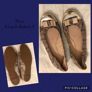 New Coach snake flats 6.5